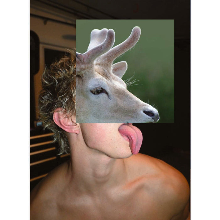 Naro Pinosa Antelope with Tongue Out Postcard