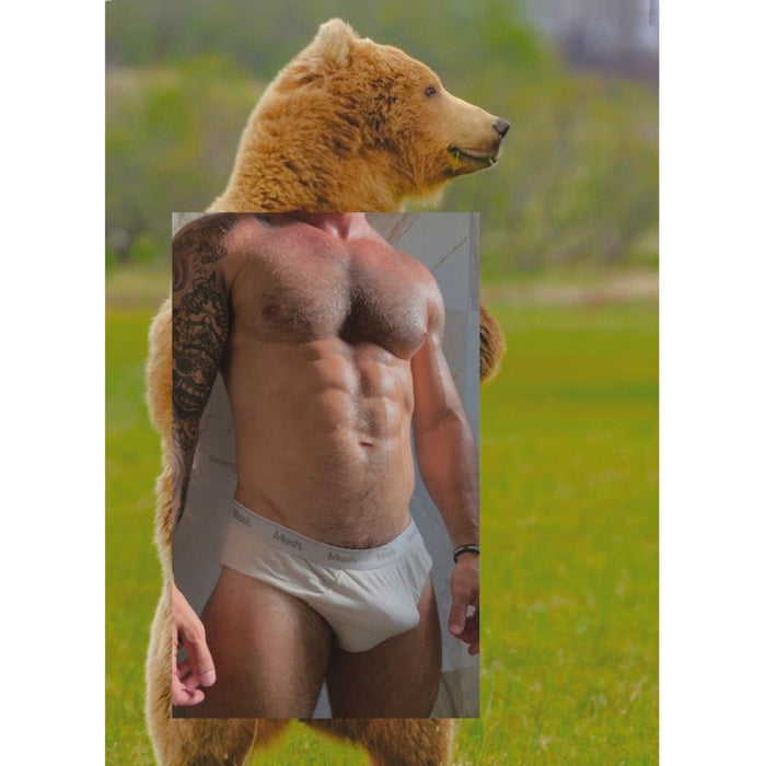 Naro Pinosa Bear Outdoors Mastr Brief Postcard