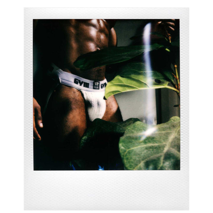 Fig Leaves