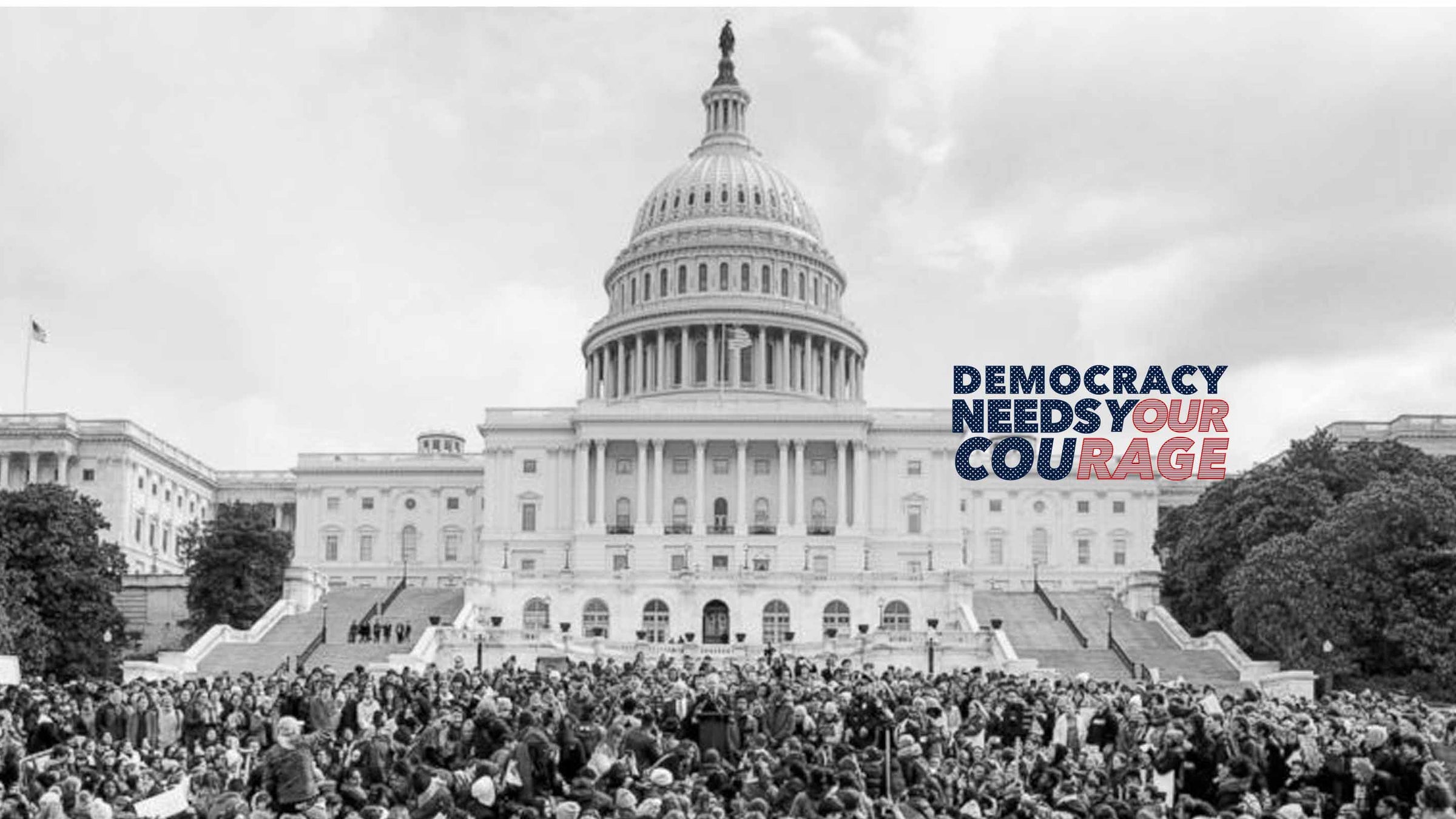 Democracy Needs Your Courage collection at Adam's Nest