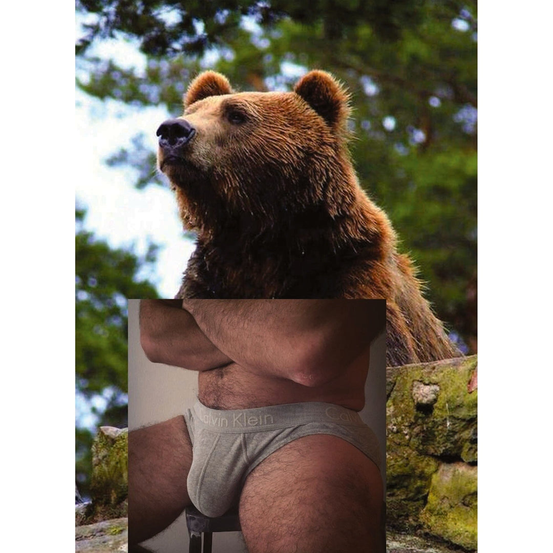 Queer art collage postcard by Naro Pinosa showing a grizzly bear in a forest setting juxtaposed with a hairy male torso in grey Calvin Klein briefs.