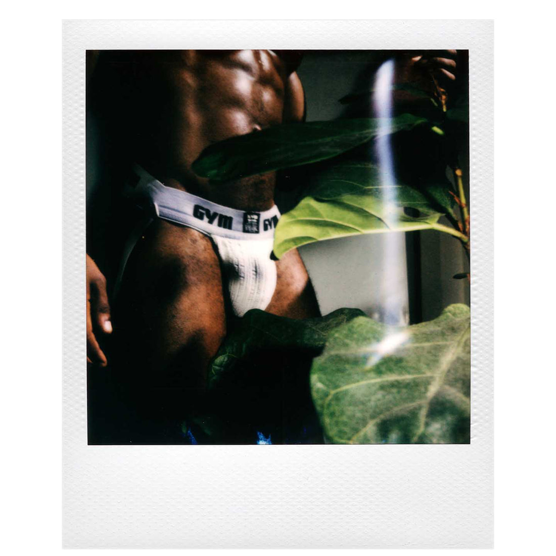 Fig Leaves