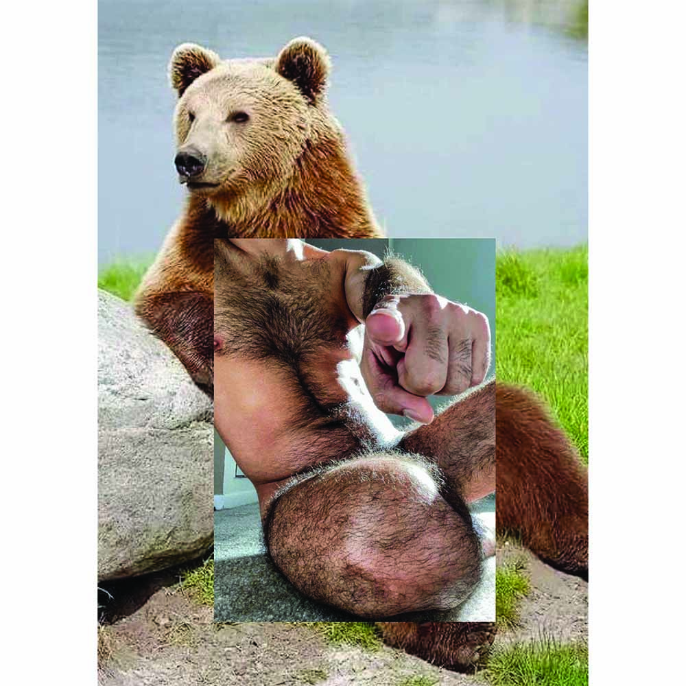 NARO POINOSA POINTING BEAR COLLAGE POSTCARD