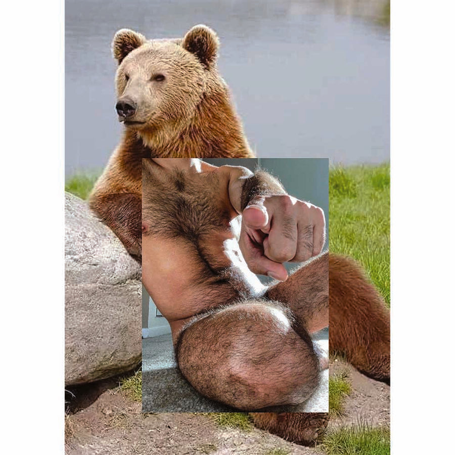 Naro Pinosa Pointing Bear Postcard by Naro Pinosa
