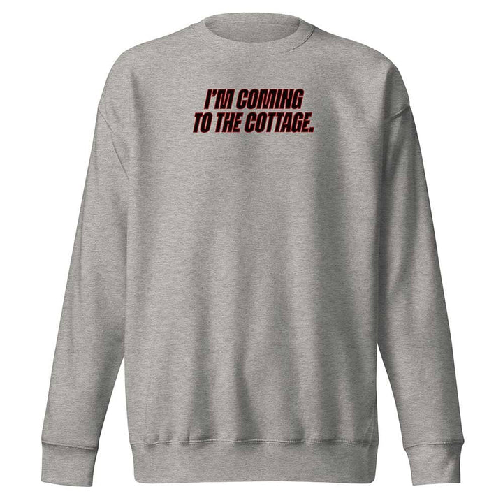 Gray sweatshirt with red text &