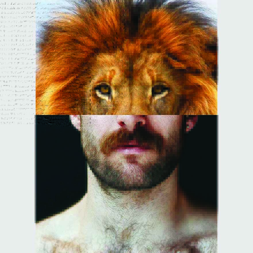 Naro Pinosa Lion Mustache Postcard