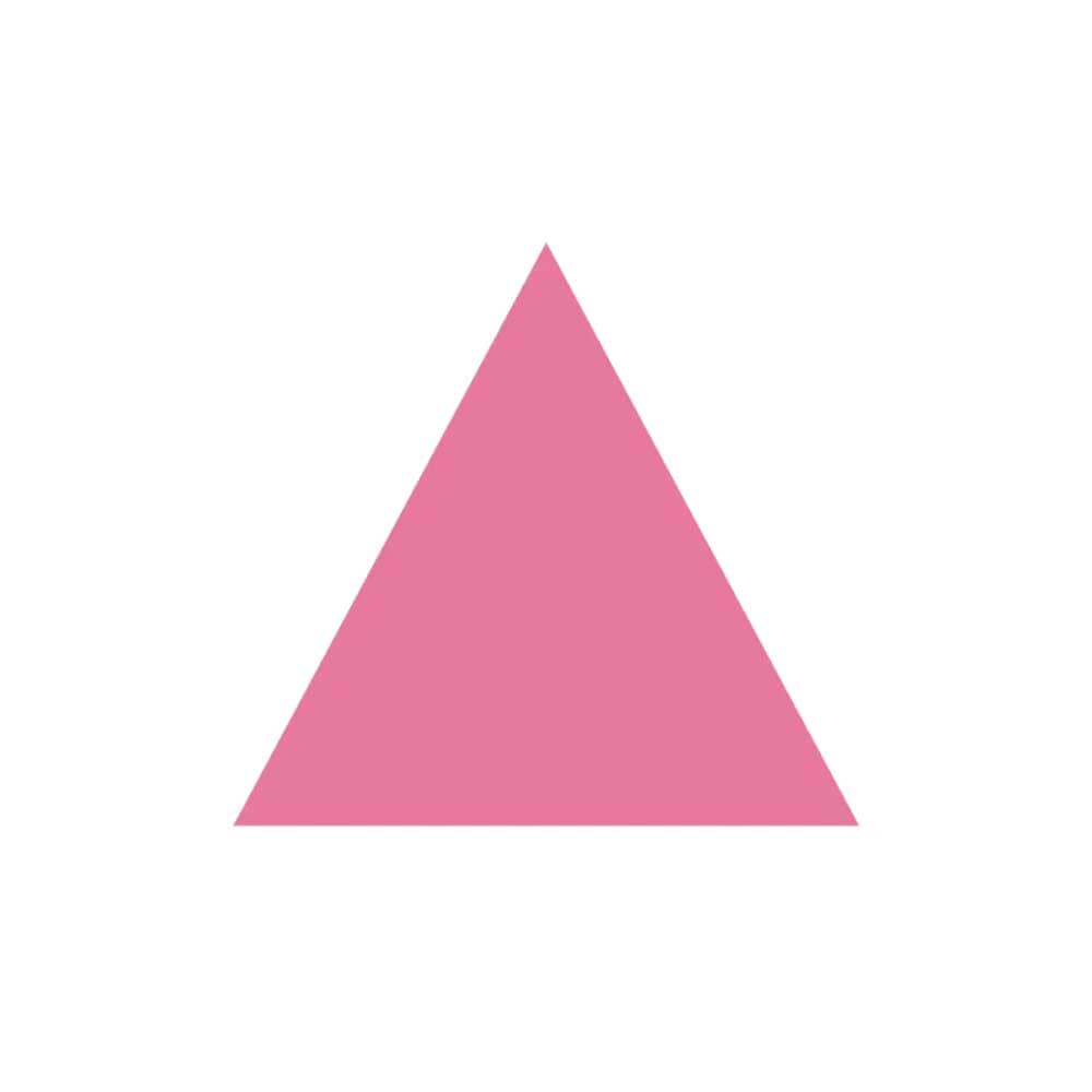 Pink Triangle Sticker - Ali Forney Center