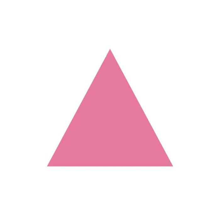 Pink Triangle Sticker - Ali Forney Center