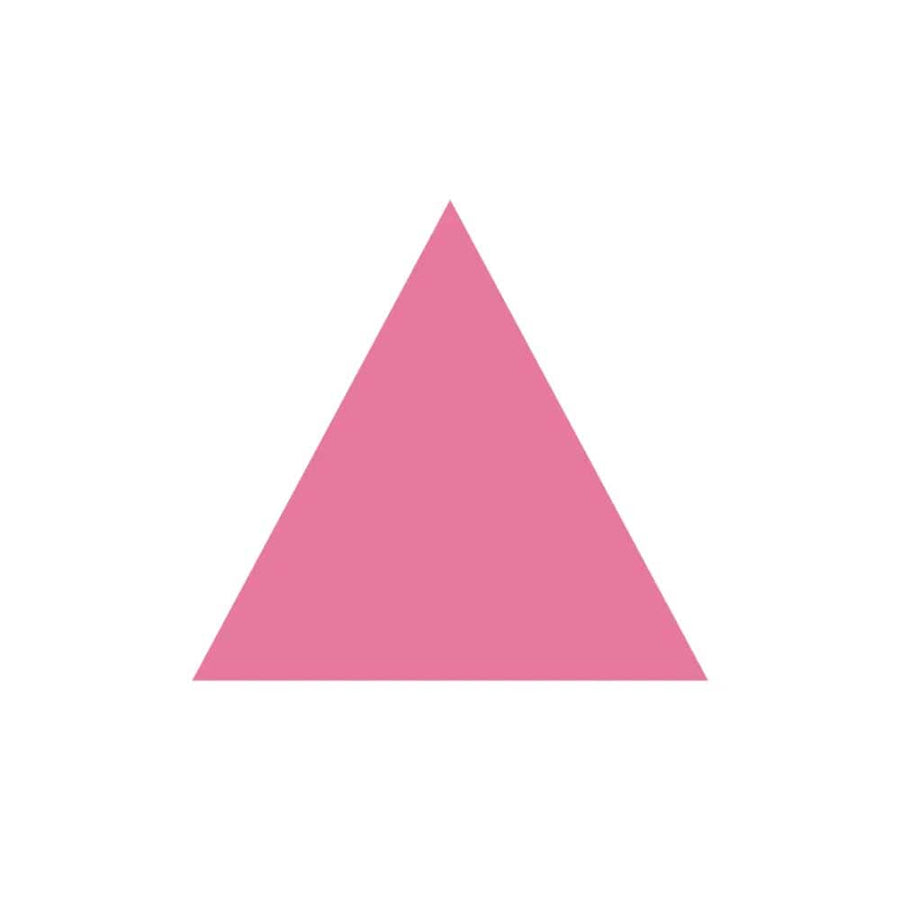 Pink Triangle Sticker - Ali Forney Center supporting Ali Forney Center
