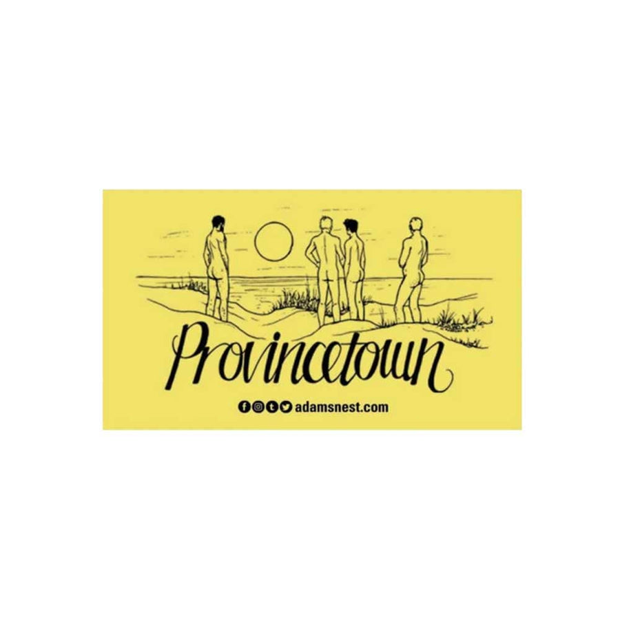 Provincetown Dune Sticker by Nathan Rapport