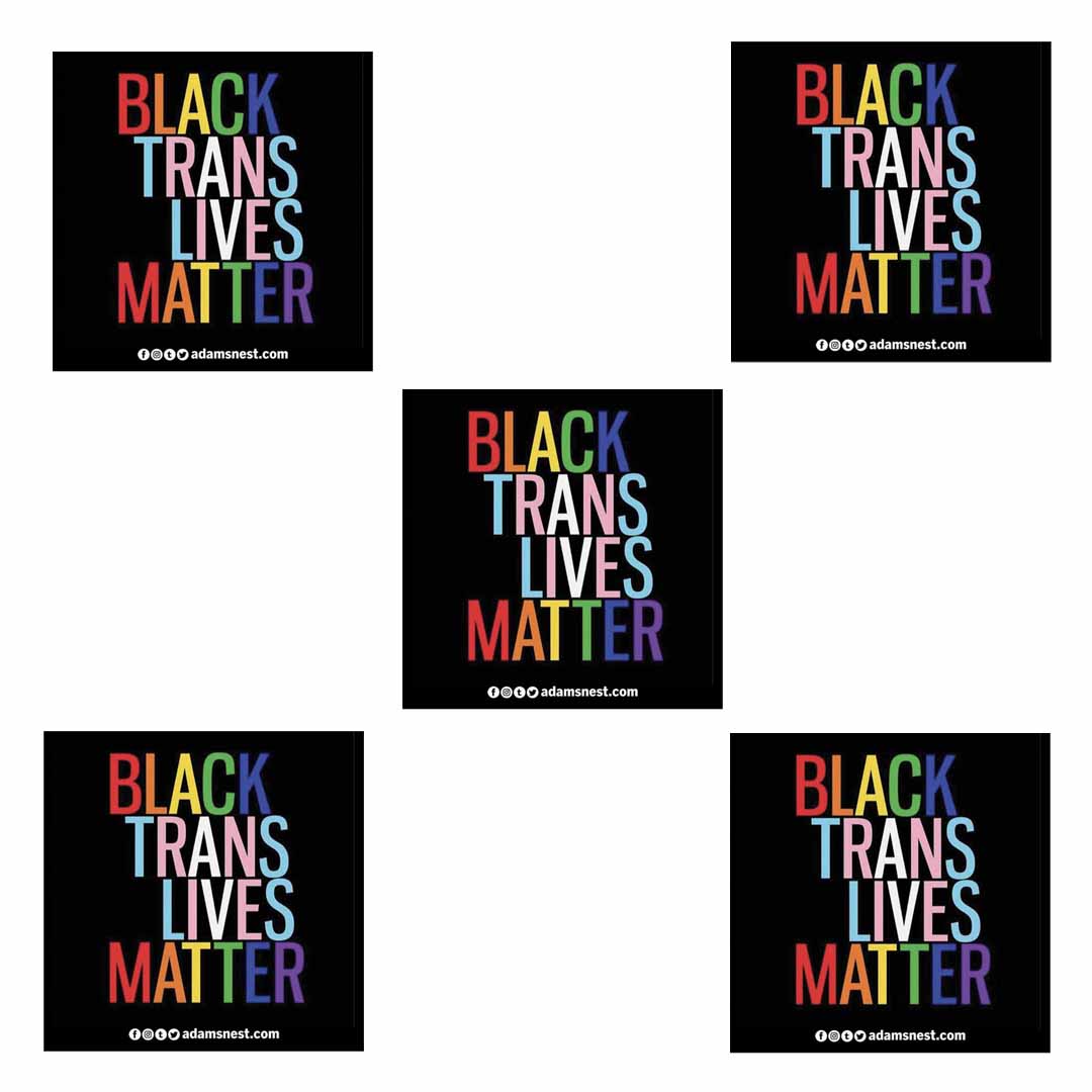 5 black trans lives matter stickers