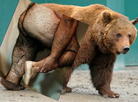 Naro Pinosa Bear Butt Postcard by Naro Pinosa