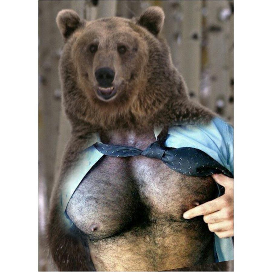 Naro Pinosa Nipple Tweak Bear Postcard