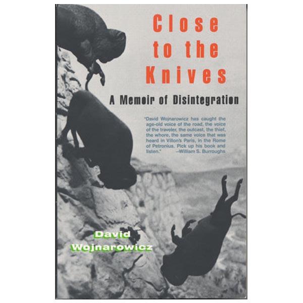 Close to the Knives A Memoir of Disintegration By David Wojnarowicz by David Wojnarowicz