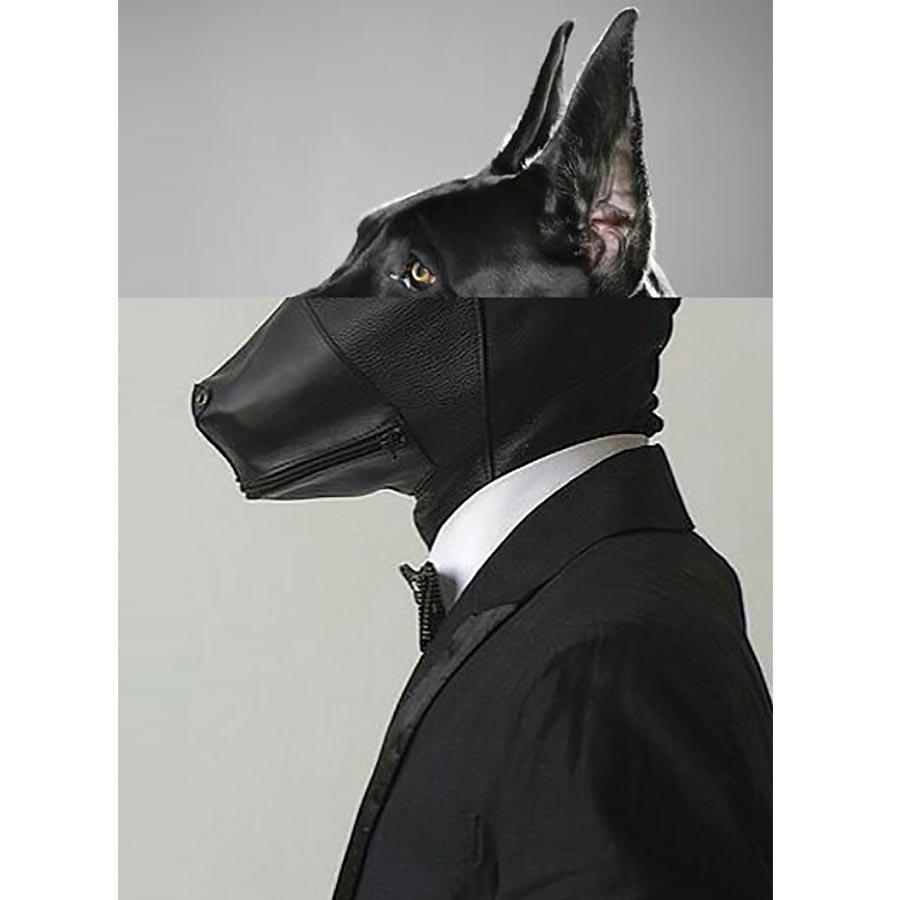 Naro Pinosa Doberman Puppy Play Muzzle Postcard