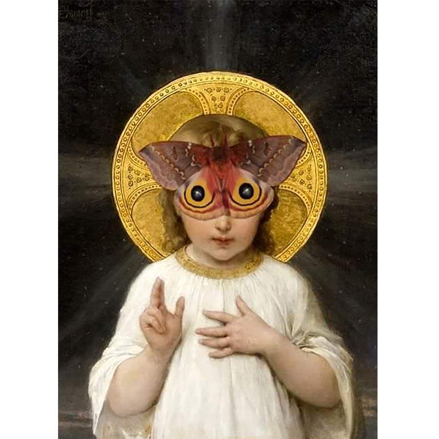 Naro Pinosa Angel Mariposa Butterfly Postcard by Naro Pinosa