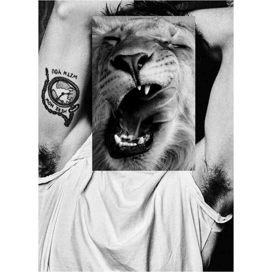 Naro Pinosa Lion Yawn Armpit Postcard by Naro Pinosa