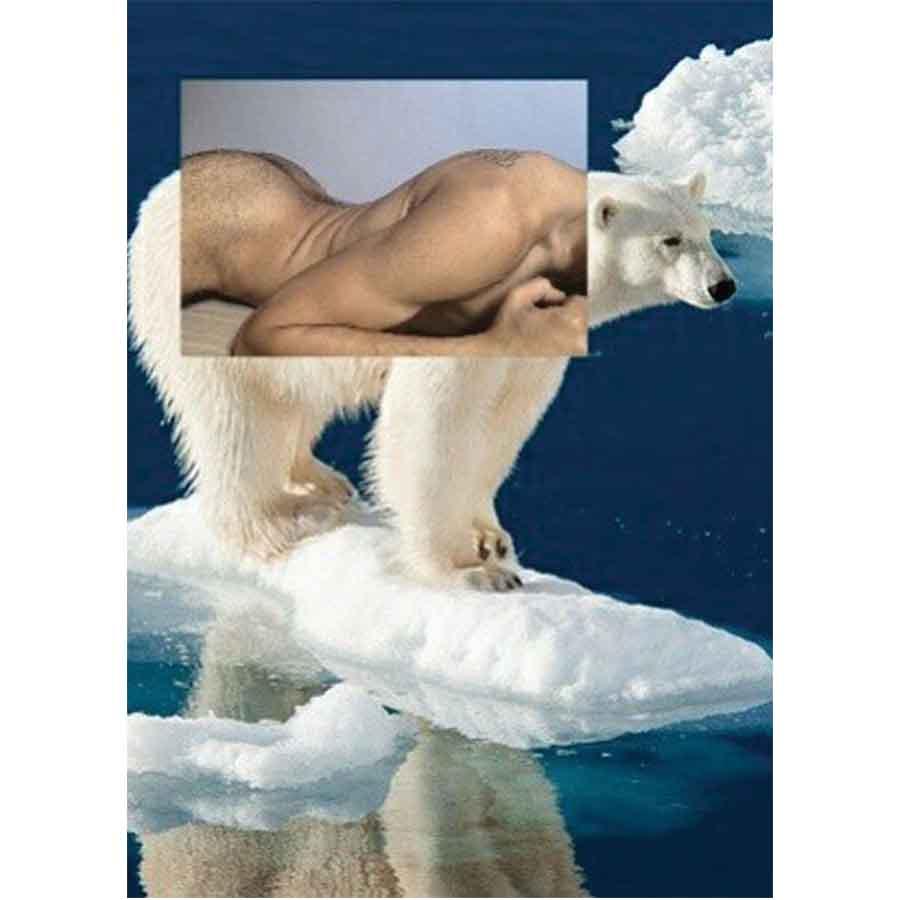 Naro Pinosa Polar Bear Postcard