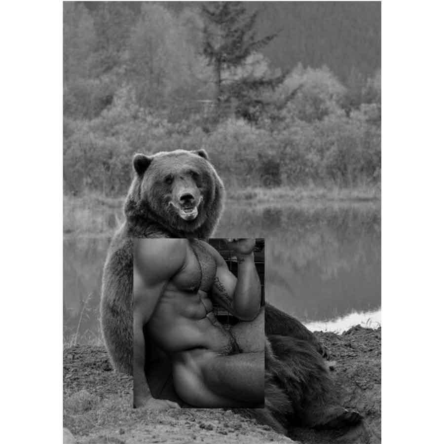 Naro Pinosa Seated Grizzly Bear Postcard