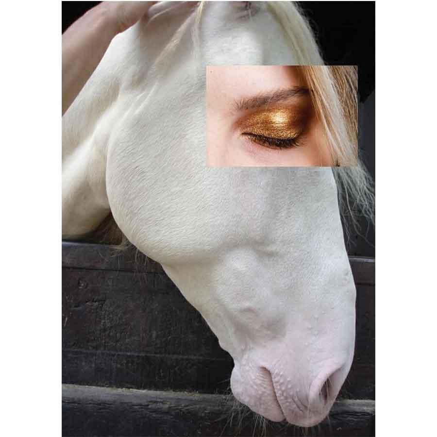 Naro Pinosa White Horse Eyeshadow Postcard by Naro Pinosa