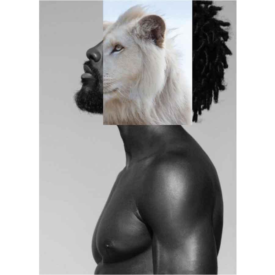 Naro Pinosa White Lion Black Man Postcard