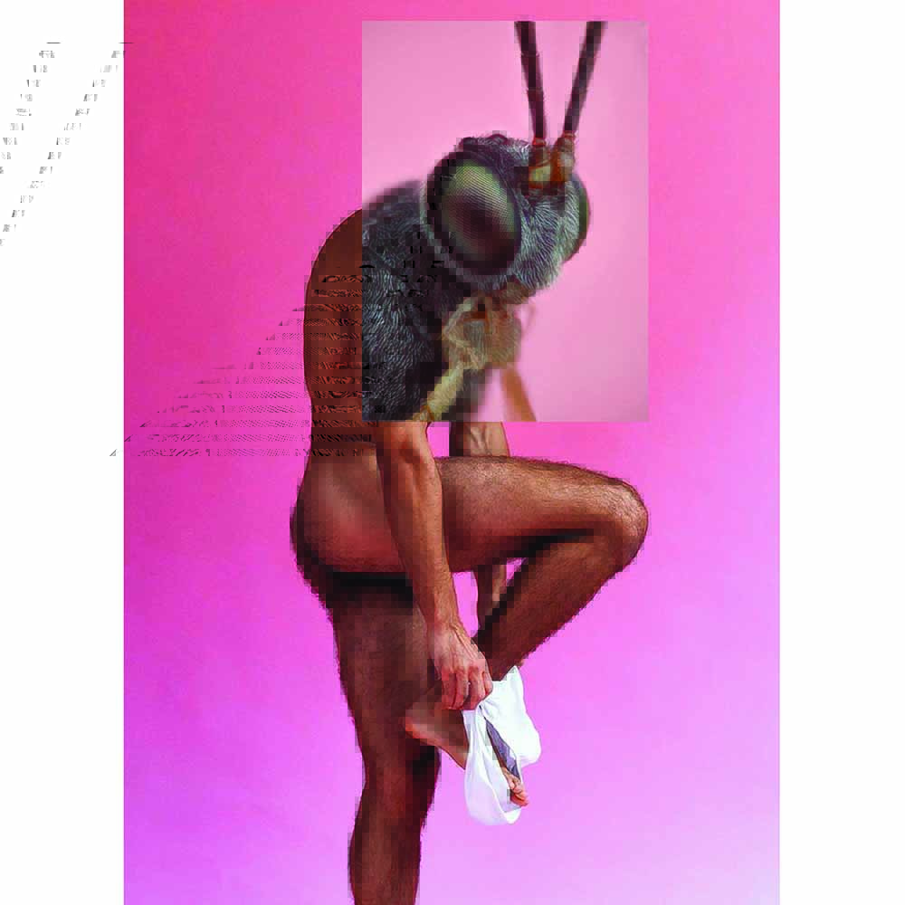 Insect Head Tighty Whities Postcard