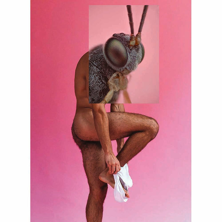 Insect Head Tighty Whities Postcard