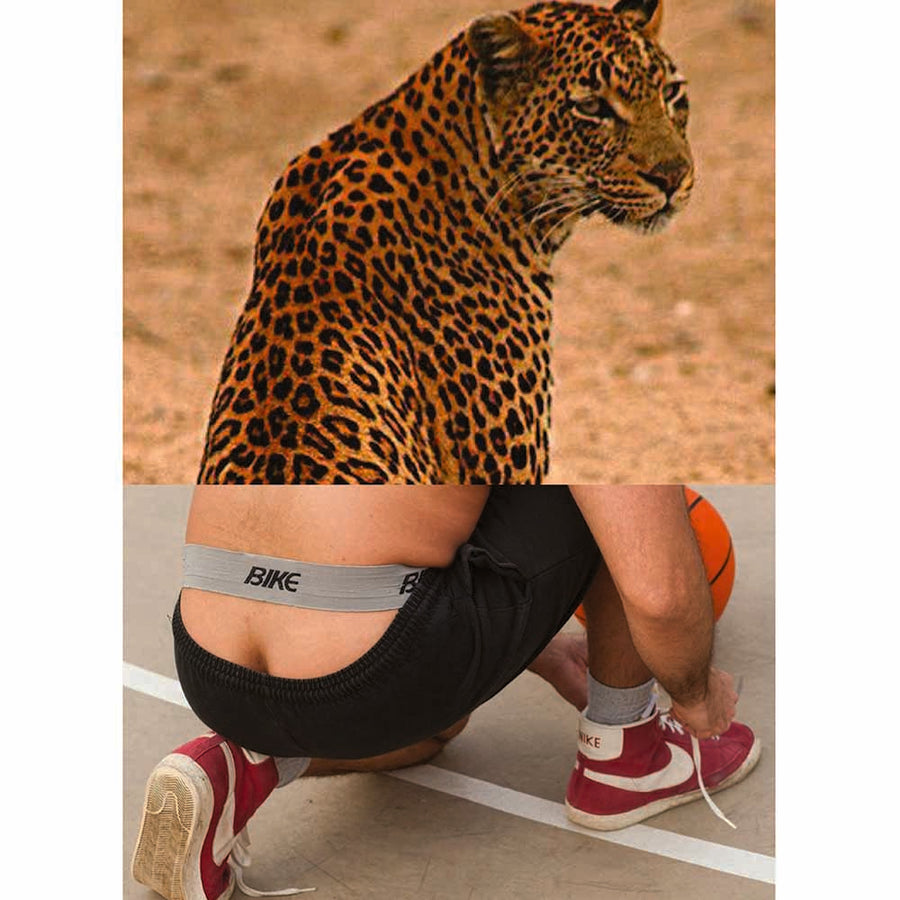 Naro Pinosa Jaguar Bike Jockstrap Postcard by Naro Pinosa