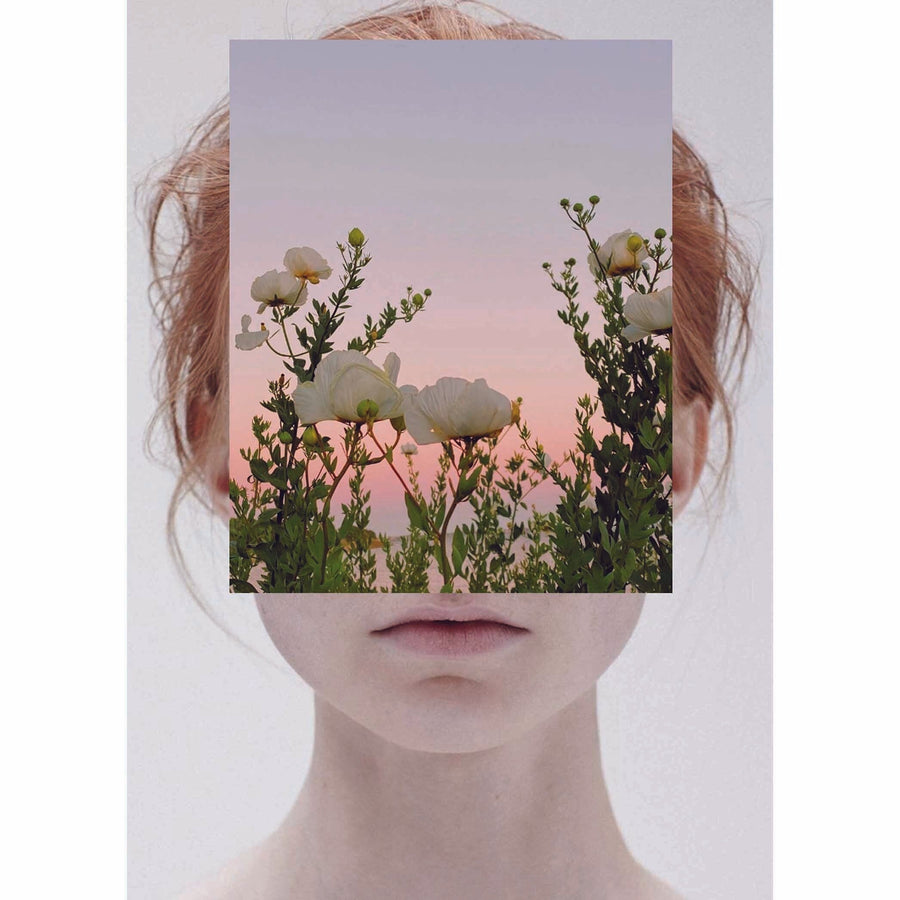 Naro Pinosa Anemone Face Postcard by Naro Pinosa