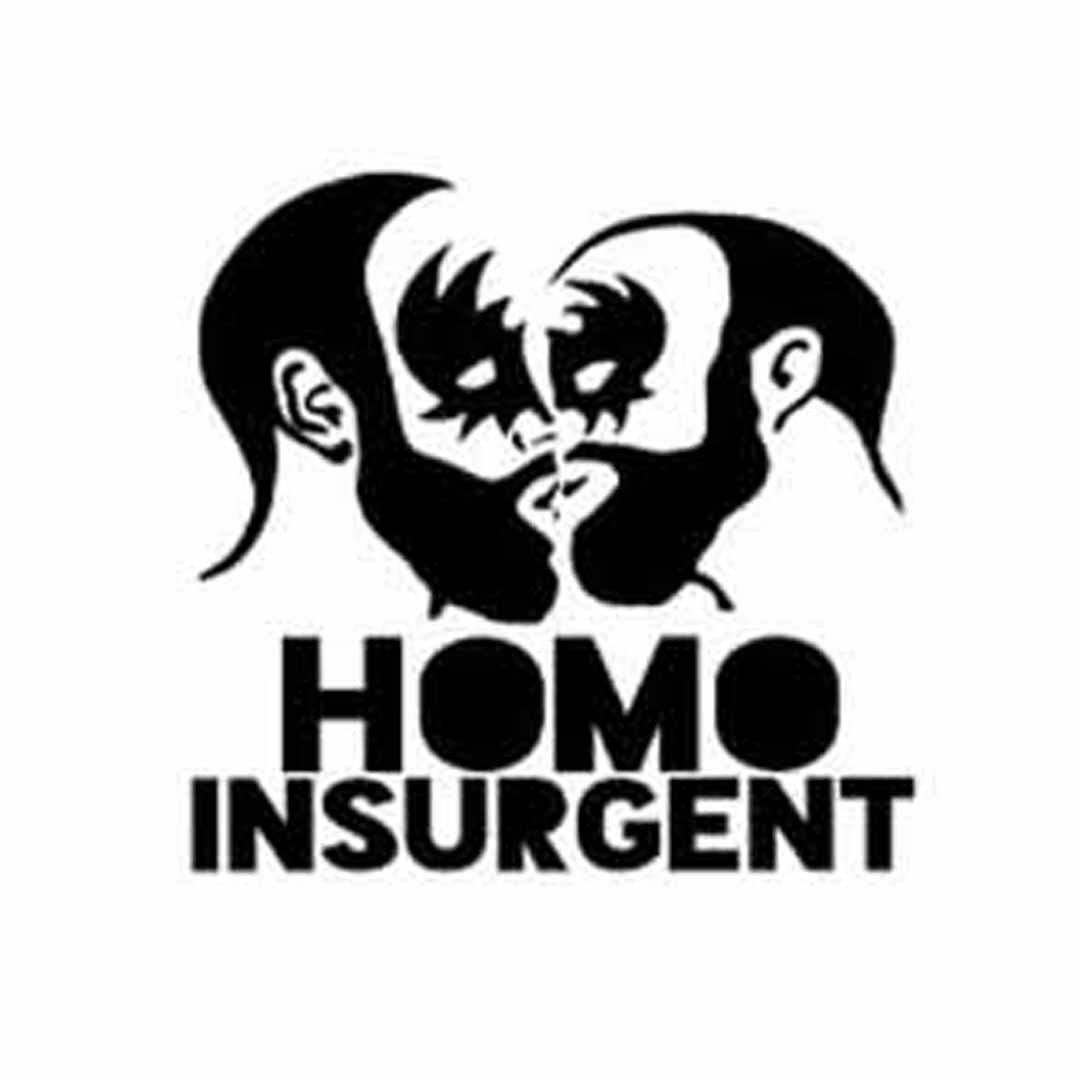 homo riot homo insurgent sticker