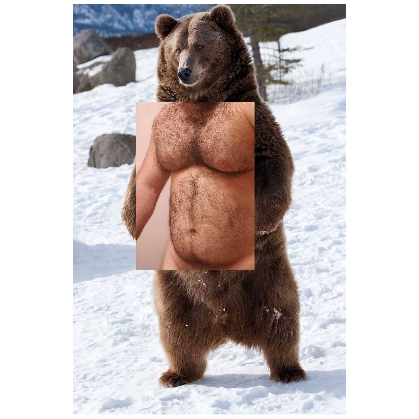 Naro Pinosa Standing Grizzly Bear Postcard